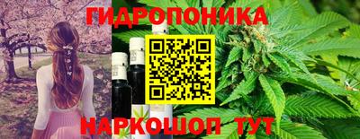 прущие крисы Коммунар